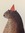 Tim