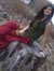 Er Neha