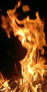 محمد المحمد