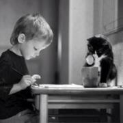 مركب الاحلام