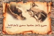 Ehab Rasha
