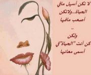 فهدنواف الكيكي