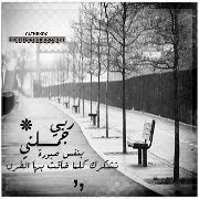 سليمان القويعاني