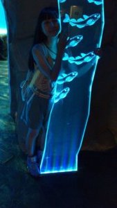 秀蘭 楊