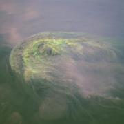 เกม สายลม