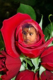 Dipti Dutta