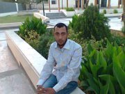 حسن الجويلي