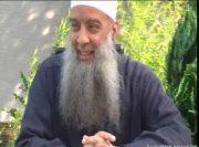 عمرو القناوى