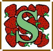 Shorma Beniwal