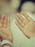 Ahmed M...