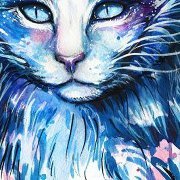 Kitty Lily