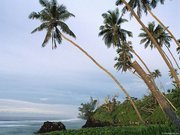 المصطفي الجعلي