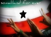Mohamed Alhashemy