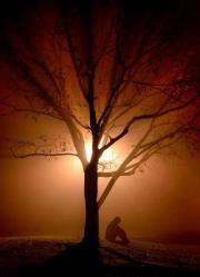 Ravinder Banyal