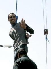 Mohamed Amer