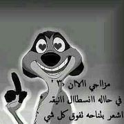 Khalid Mansy