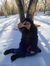 Safia F...