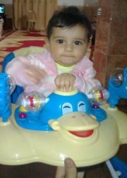 وردة الصباح