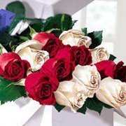 Aqleema Nadeem