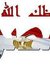 Ahmed A...