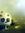 Youvita...