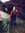 Kristin...