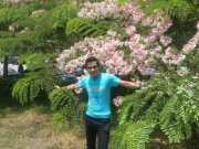 Mahmoud Mashal