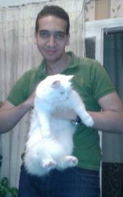 Fouad Ibrahim