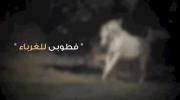 Yousif Yahya