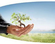 نجاة الأهدل