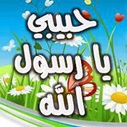 Mohamed Sayed