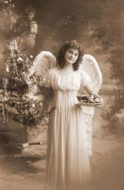 Sue Haining