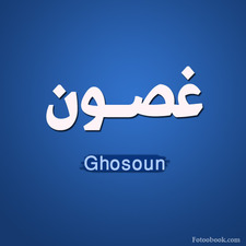 Ghosoun Ibrahim 