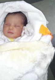 Mohammed Elshafei