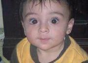 Mony Abdo
