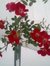 Gunjan ...
