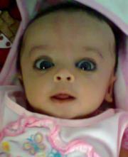 Shahzad Mirza