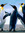 7706ben | 4 comments