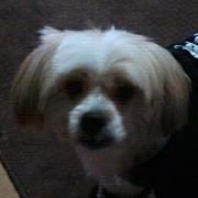 Julz