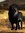 Tamara Thomas | 3 comments