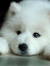 Seth Cl...