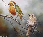 قاسم الدريعي