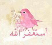 Reham Elgendy