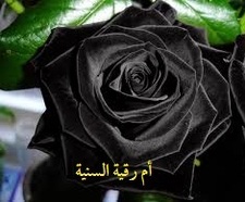 أم رقية السنية