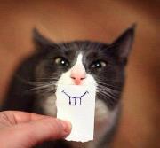 Marlene Bentsen (Boggrippen)