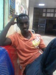 العريض حامد نور