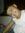 Bashir P