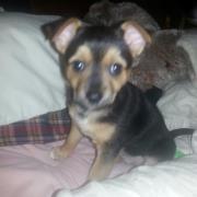 Laura Salzman-gresham