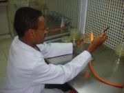 ياسر باهرمز