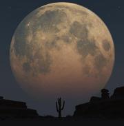 ظل-القمر الصمادي